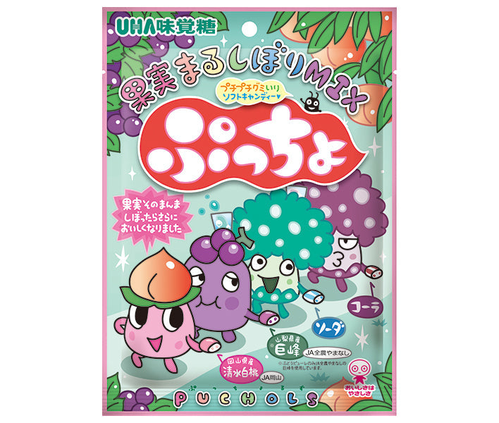 UHA味覚糖 ぷっちょ袋 4種アソート 88g×6個入【日本出荷