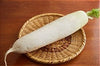 What Is Daikon? A Complete Guide to Japanese White Radish