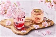 Japanese Sakura Drinks: A Complete Guide to Japan's Cherry Blossom Beverages