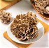 What Is Maitake? A Complete Guide to Japanese Maitake Mushroom