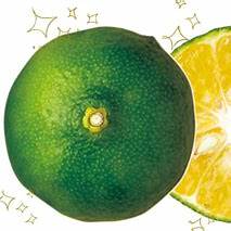 Japanese Yuzu Drink: A Complete Guide to Japan's Premium Citrus Beverage Culture