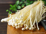 What Is Enoki? A Complete Guide to Japanese Enoki Mushroom