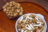What Is Shimeji? A Complete Guide to Japanese Shimeji Mushroom