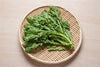 What Is Shungiku? A Complete Guide to Japanese Chrysanthemum Greens