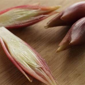What Is Myoga? A Complete Guide to Japanese Ginger Flower