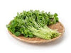 What Is Mitsuba? A Complete Guide to Japanese Parsley