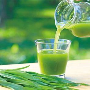 What Is Aojiru? A Complete Guide to Japanese Green Vegetable Juice