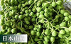 What Is Sansho? A Complete Guide to Japanese Pepper Spice