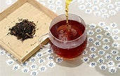 Japanese Black Tea: A Complete Guide to Japan's Unique Wakocha Culture