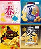 Japanese Sakura Drink: A Complete Guide to Japan's Cherry Blossom Beverage Culture