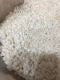What Is Koji? A Complete Guide to Japanese Fermentation Starter
