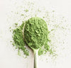 What Is Matcha? The Ultimate Guide to Japanese Matcha Green Tea