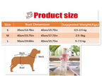 Floral Dog Harness and Leash Set | Dog Walking Set