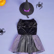 Witch Hat Dog Dress | Halloween Costume