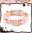 Peaches and Pumpkins Dog Collar | Halloween Dog Collar