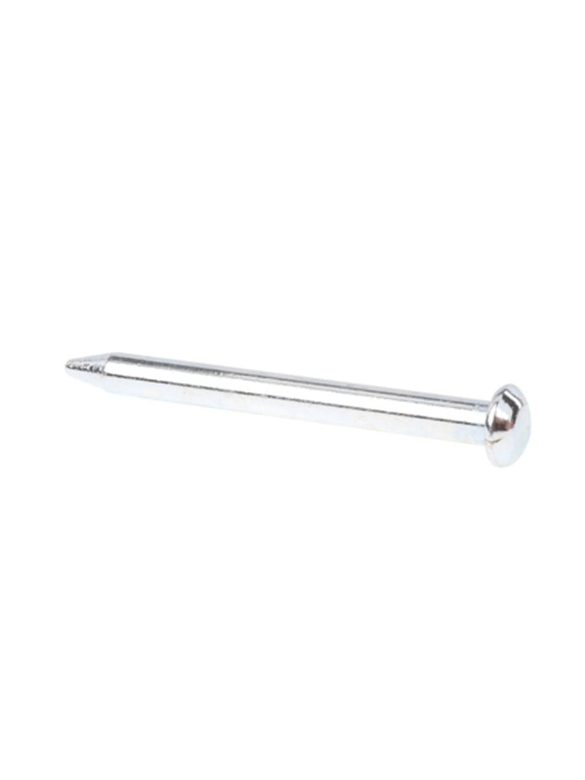 Pièce de rechange pour réfrigérateur Bosch 00605774 - PIN