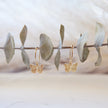 Butterfly Hoops
