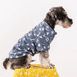 Chewy Pawtton Dog Sweater | Graphic Knit Dog Sweater