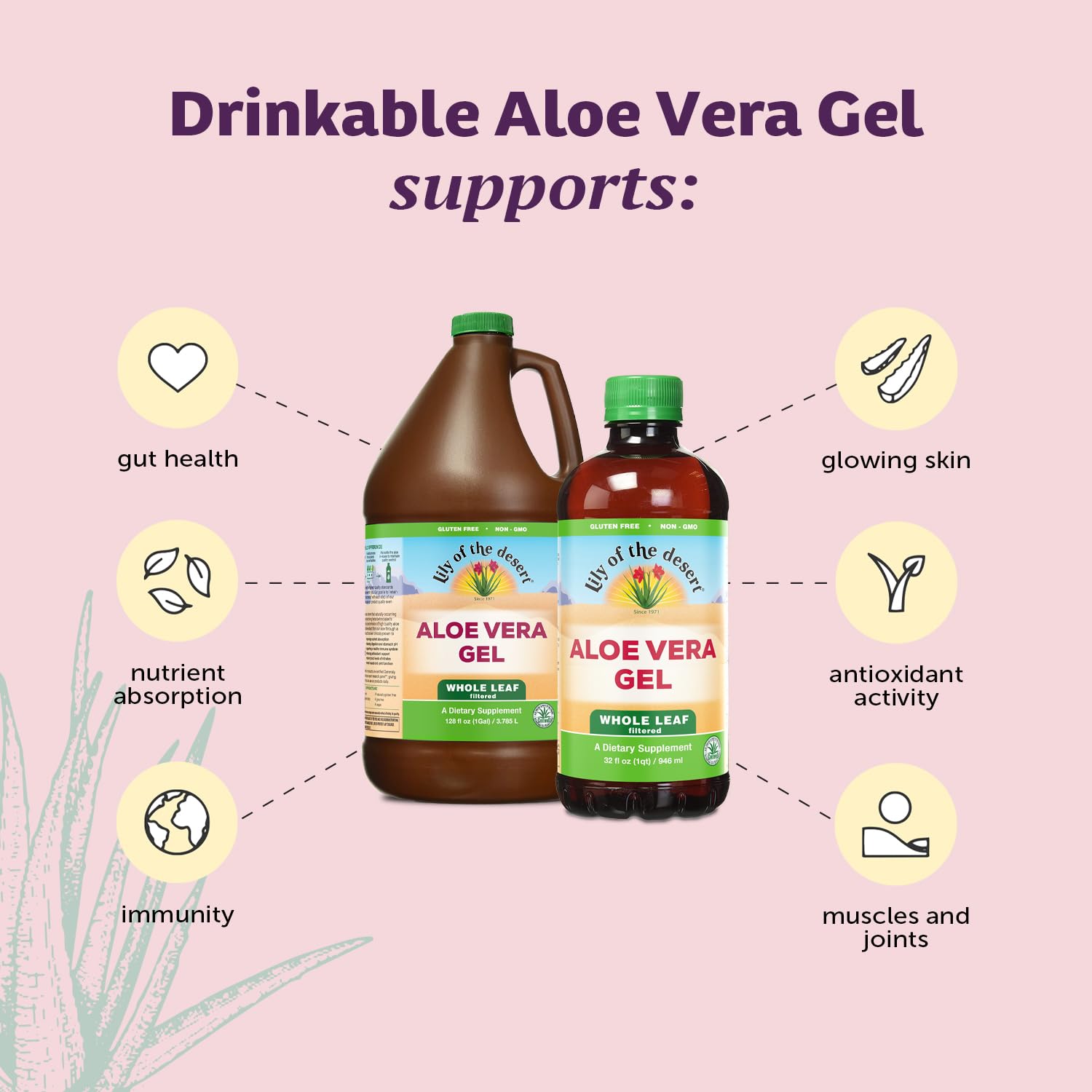 Lily Of The Desert - Aloe Vera Juice - Plastic (3.8L)