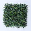 Granada (box of 12)