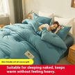 Airable Cover Double Thickened Cotton Duvet Insert