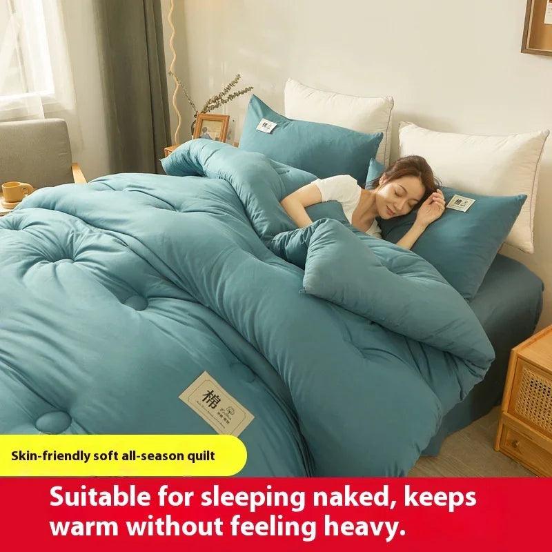 Airable Cover Double Thickened Cotton Duvet Insert