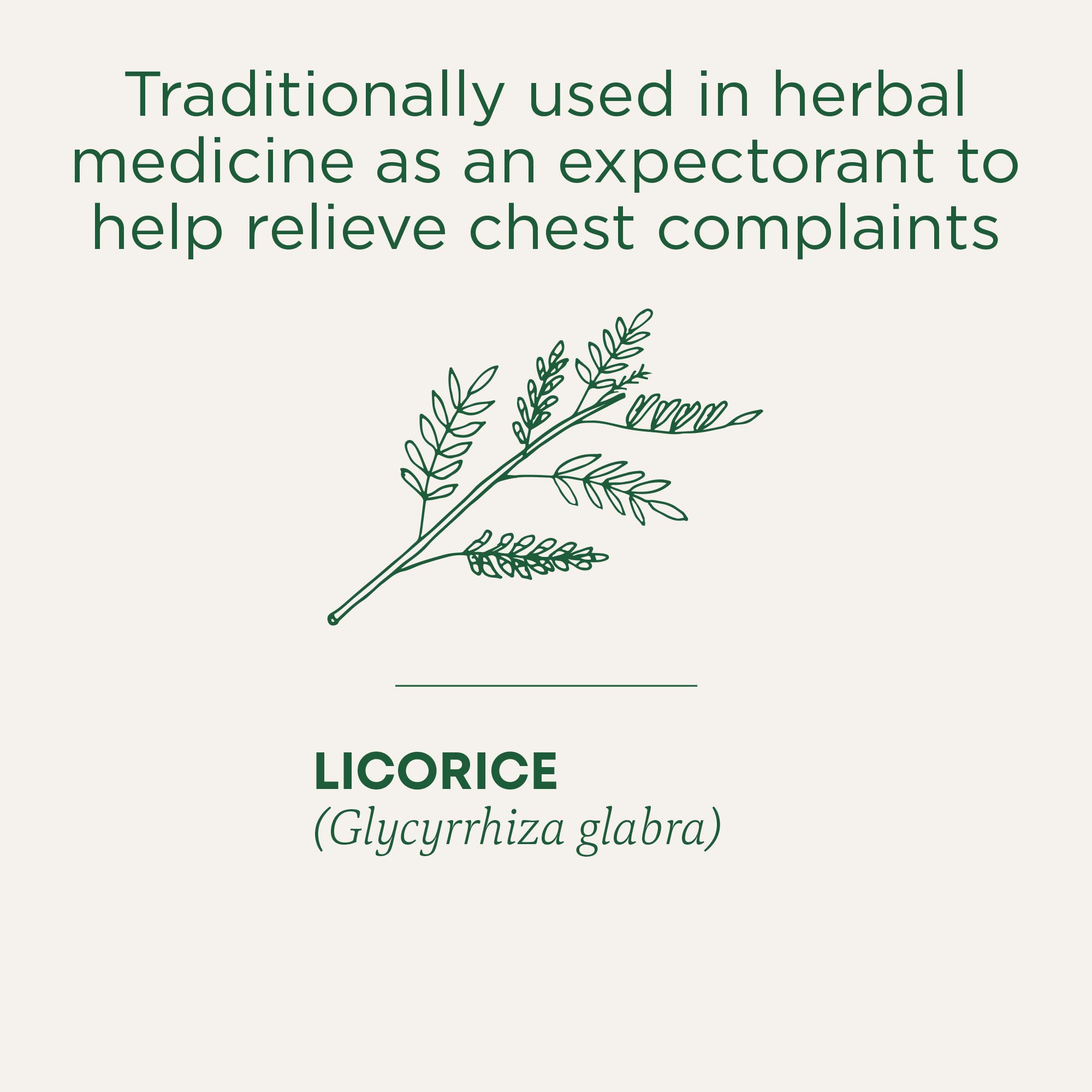 Traditional Medicinals - Breathe Easy (16bg)