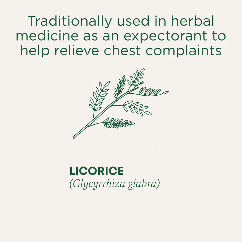 Traditional Medicinals - Breathe Easy (16bg)