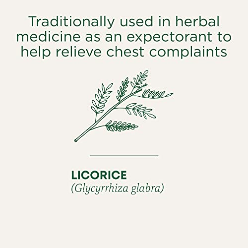 Traditional Medicinals - Breathe Easy (16bg)