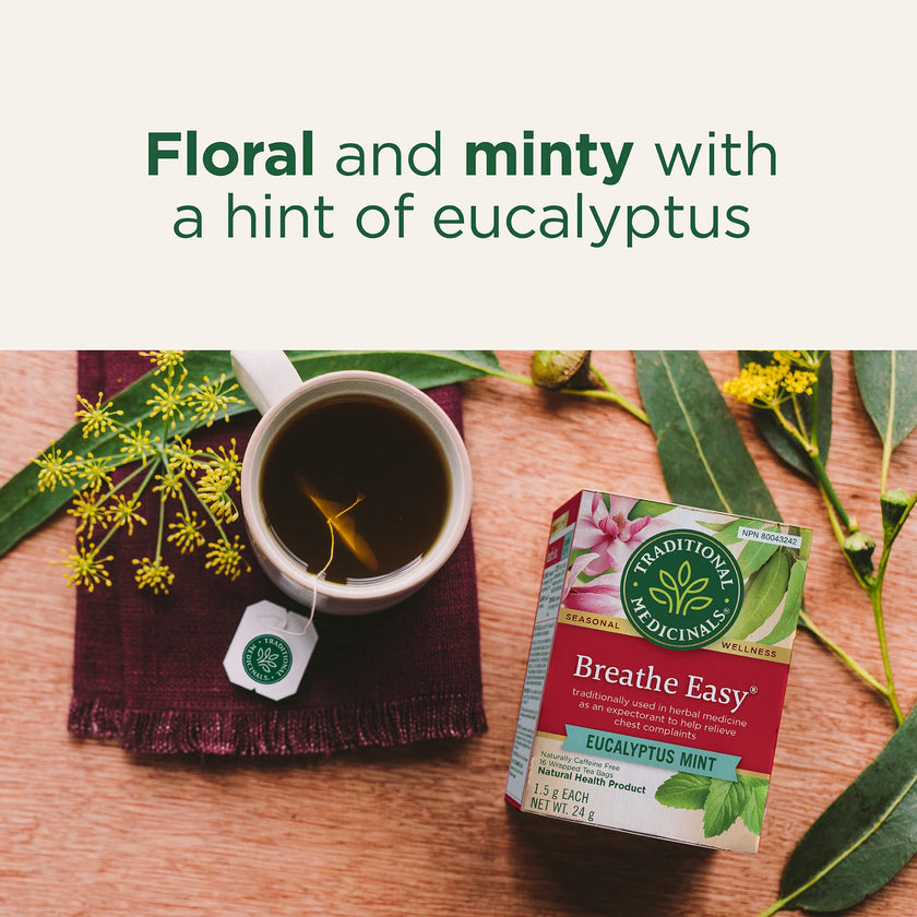 Traditional Medicinals - Breathe Easy (16bg)