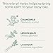 Traditional Medicinals - Organic Chamomile With Lavender (16bg)