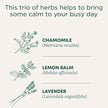 Traditional Medicinals - Organic Chamomile With Lavender (16bg)