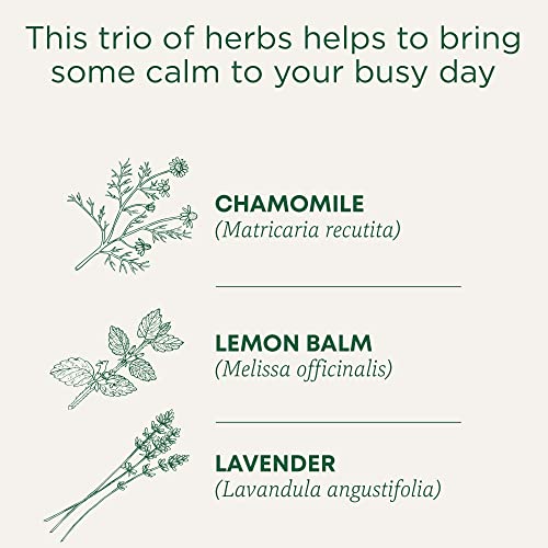 Traditional Medicinals - Organic Chamomile With Lavender (16bg)