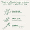 Traditional Medicinals - Organic Chamomile With Lavender (16bg)
