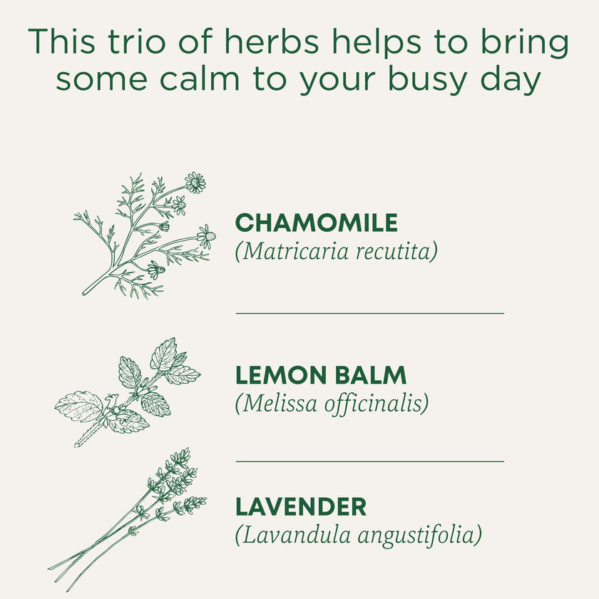 Traditional Medicinals - Organic Chamomile With Lavender (16bg)
