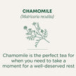 Traditional Medicinals - Organic Chamomile (16bg)