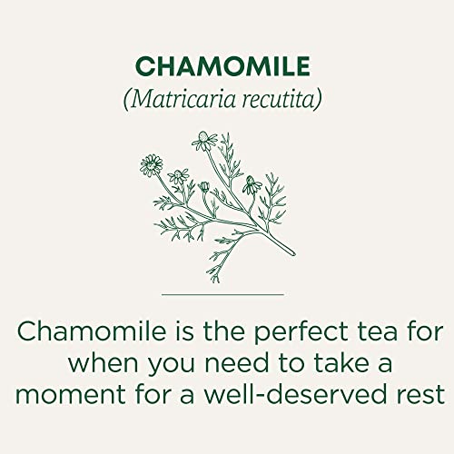 Traditional Medicinals - Organic Chamomile (16bg)