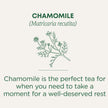 Traditional Medicinals - Organic Chamomile (16bg)