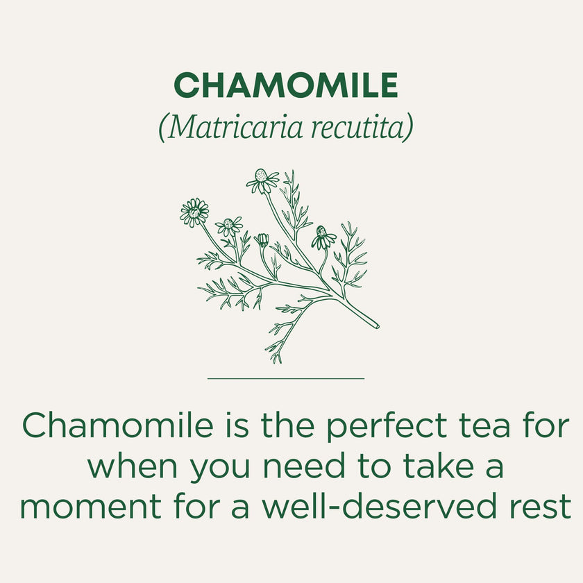 Traditional Medicinals - Organic Chamomile (16bg)
