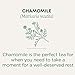 Traditional Medicinals - Organic Chamomile (16bg)