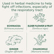 Traditional Medicinals - Organic Echinacea Plus Elderberry (16bg)