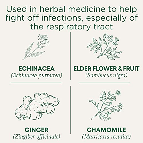 Traditional Medicinals - Organic Echinacea Plus Elderberry (16bg)