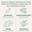 Traditional Medicinals - Organic Echinacea Plus Elderberry (16bg)