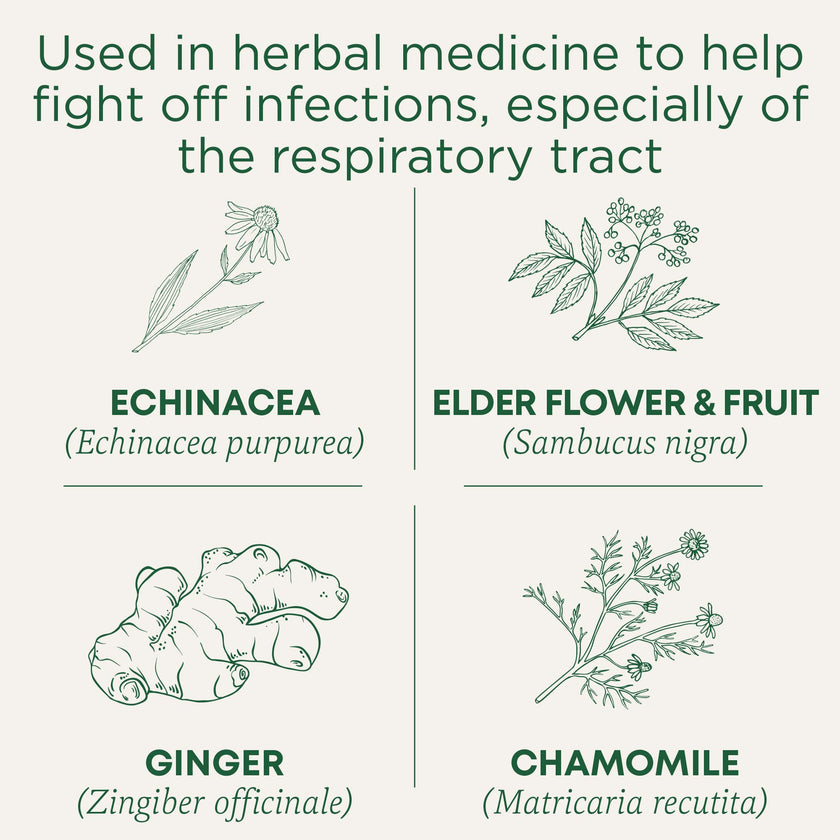 Traditional Medicinals - Organic Echinacea Plus Elderberry (16bg)