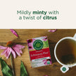 Traditional Medicinals - Organic Echinacea Plus (16bg)