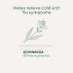 Traditional Medicinals - Organic Echinacea Plus (16bg)