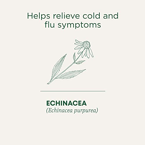 Traditional Medicinals - Organic Echinacea Plus (16bg)