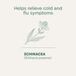 Traditional Medicinals - Organic Echinacea Plus (16bg)