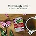 Traditional Medicinals - Organic Echinacea Plus (16bg)