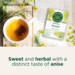 Traditional Medicinals - Organic Fennel (16bg)